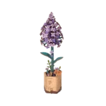 Rowood Lilac TW021-B | DIY syren i træ